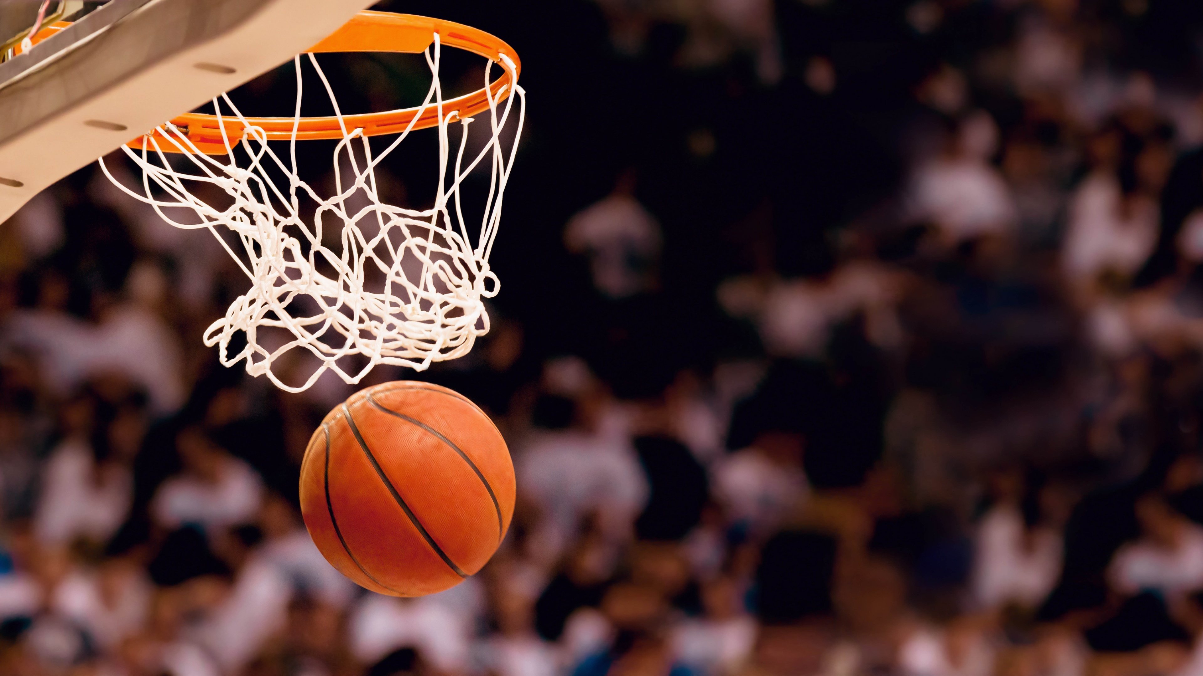 爱游戏登录-双线闪耀！塔图姆十赛季高光引爆NBA，拜仁球迷为之沸腾